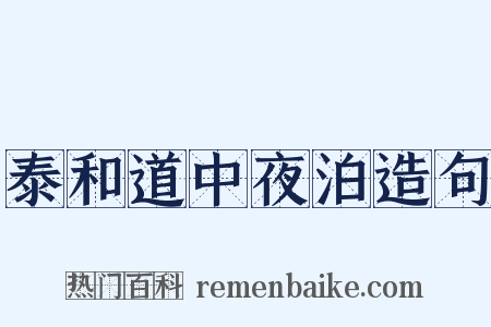 泰和道中夜泊造句是什么意思的图片
